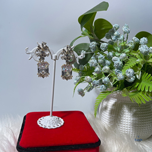 Fashion Earrings