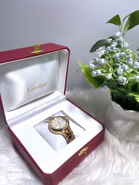 Cartier Watch